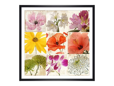 Collage de fleurs