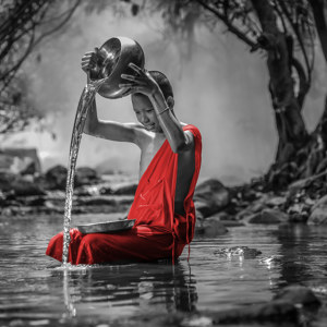 Buddhistischer Mönch Bild