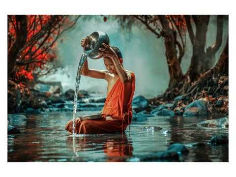 Buddhistischer Mönch Bild