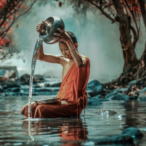 Buddhistischer Mönch Bild