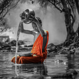 Buddhistischer Mönch Bild