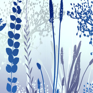 bunnte-blumen-bilder