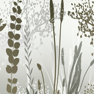 bunnte-blumen-bilder