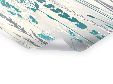 Photos de fleurs multicolores