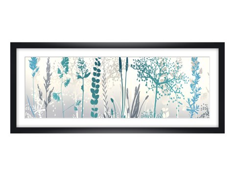 Photos de fleurs multicolores