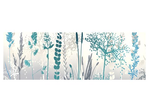 Photos de fleurs multicolores