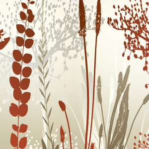 photos de fleurs multicolores