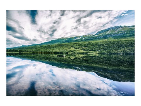 Butterfly Effect of Norway