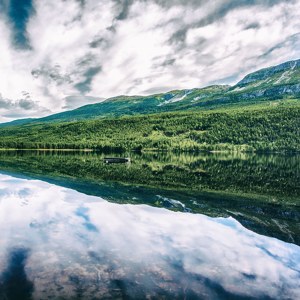 Butterfly Effect of Norway