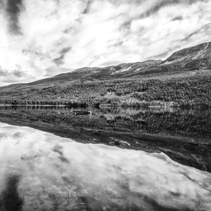 Butterfly Effect of Norway