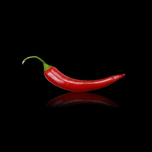 pop art chilli