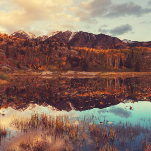 Colorado Autumn