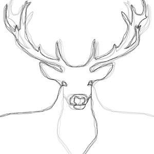 Deer Lines