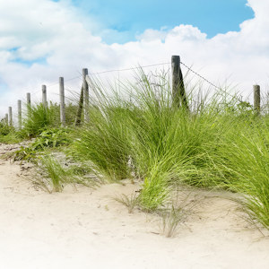image de dunes