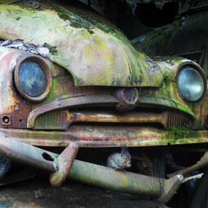 Maaltijd op de bumper