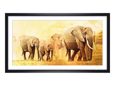 Images d'éléphants