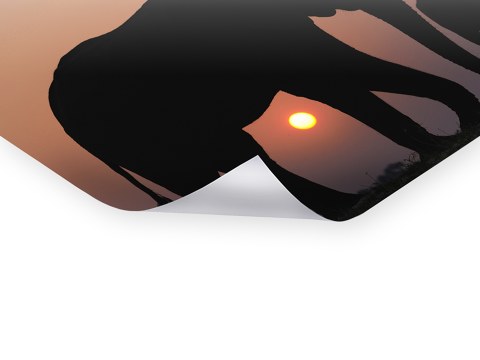 Tiere im Sonnenuntergang