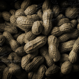 Erdnüsse Bild