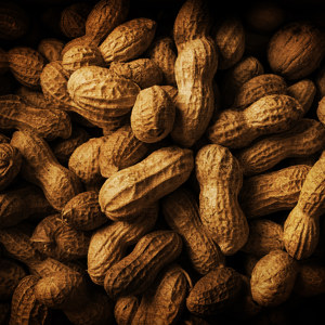 Erdnüsse Bild