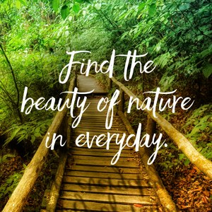 Find the beauty of nature