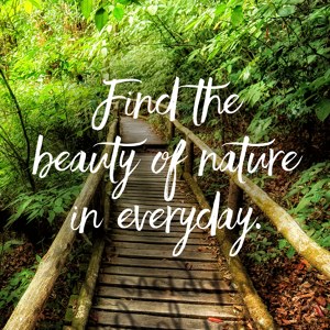 Find the beauty of nature