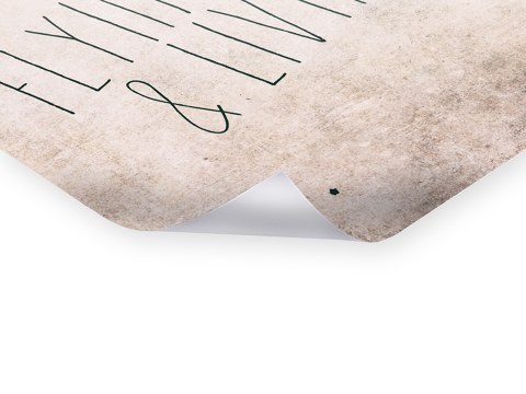 Flying high living free