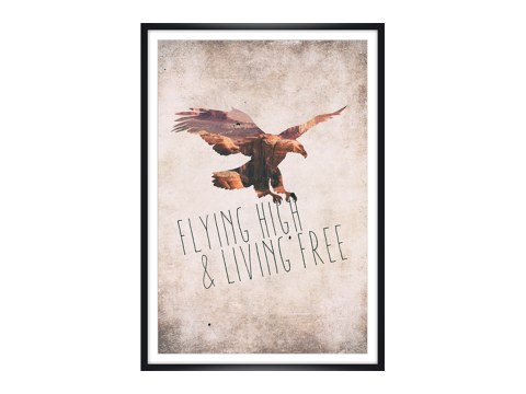 Flying high living free