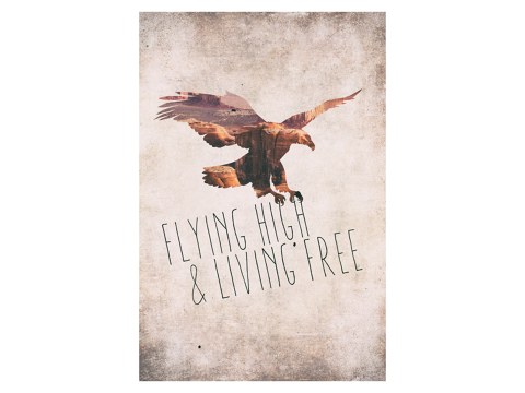Flying high living free