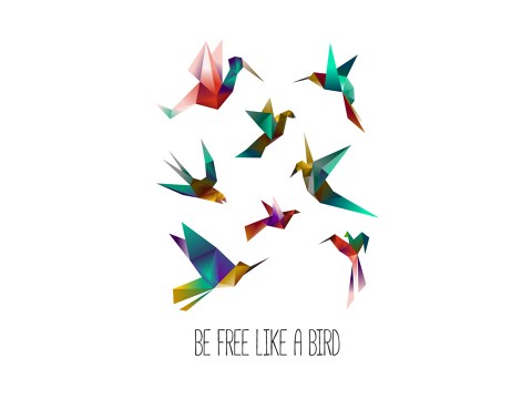 free like a bird