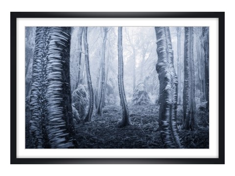 gefrorene Bäume Foto