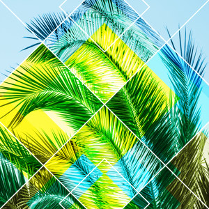 Geometric Palm Leaves