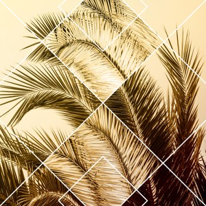 Geometric Palm Leaves