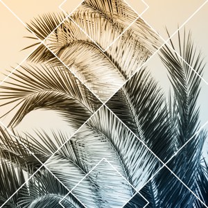 Geometric Palm Leaves