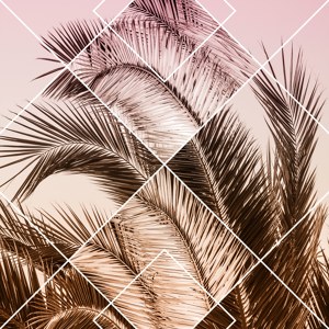 Geometric Palm Leaves