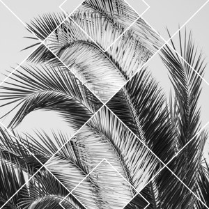 Geometric Palm Leaves