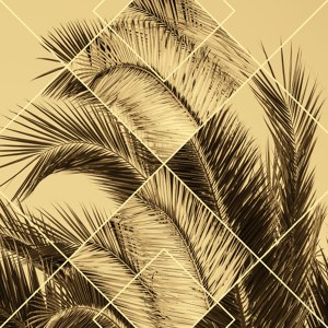 Geometric Palm Leaves