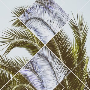 Geometric Palm Leaves