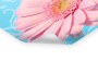 Gerbera Bild