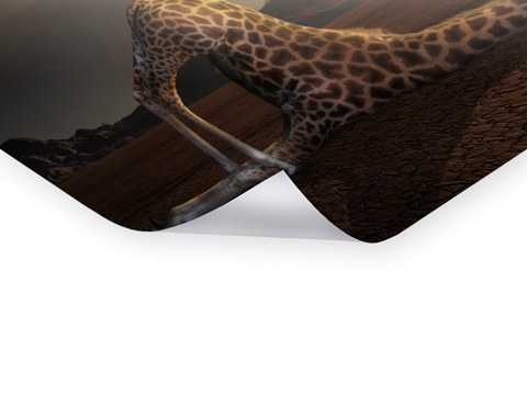 surreales Giraffen Motiv