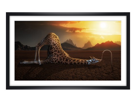 surreales Giraffen Motiv