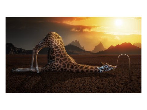 surreales Giraffen Motiv