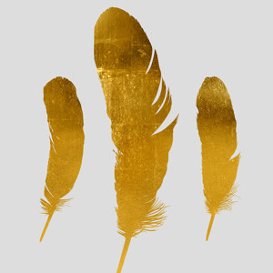 Golden Feathers
