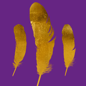 Golden Feathers