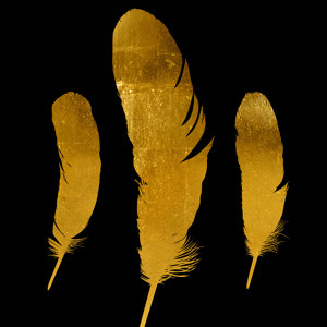 Golden Feathers