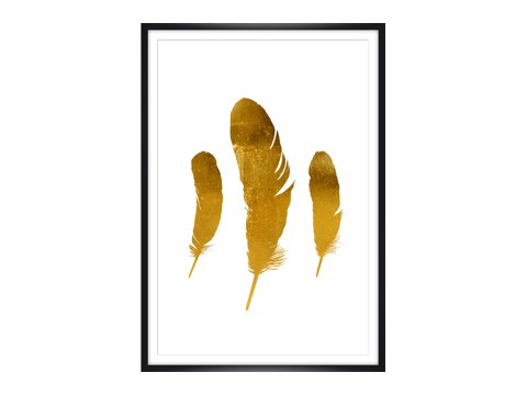 Golden Feathers
