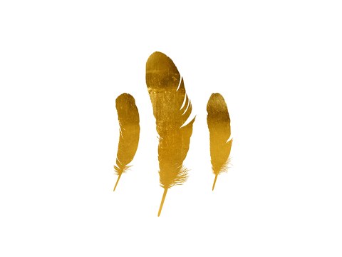 Golden Feathers