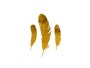 Golden Feathers