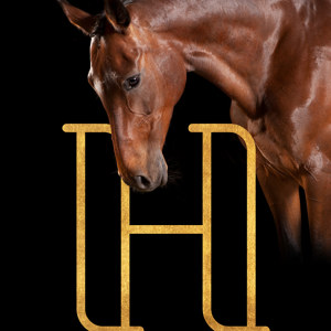 H like Horse