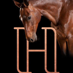 H like Horse