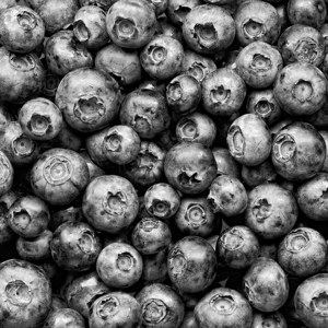 Blauwe bosbessen foto